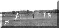 cricket.jpg (39615 bytes)