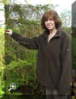 Jenny Perry, a local artist in Dalham  > Simply click to enlarge... then use the [Back] button to return