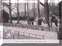 Rearing Pens on Sugarloaf Beat - Tom Turner in centre - 1900