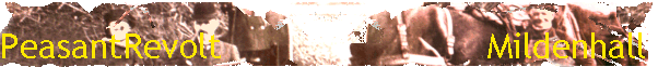 PeasantRevolt