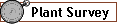 Plant Survey